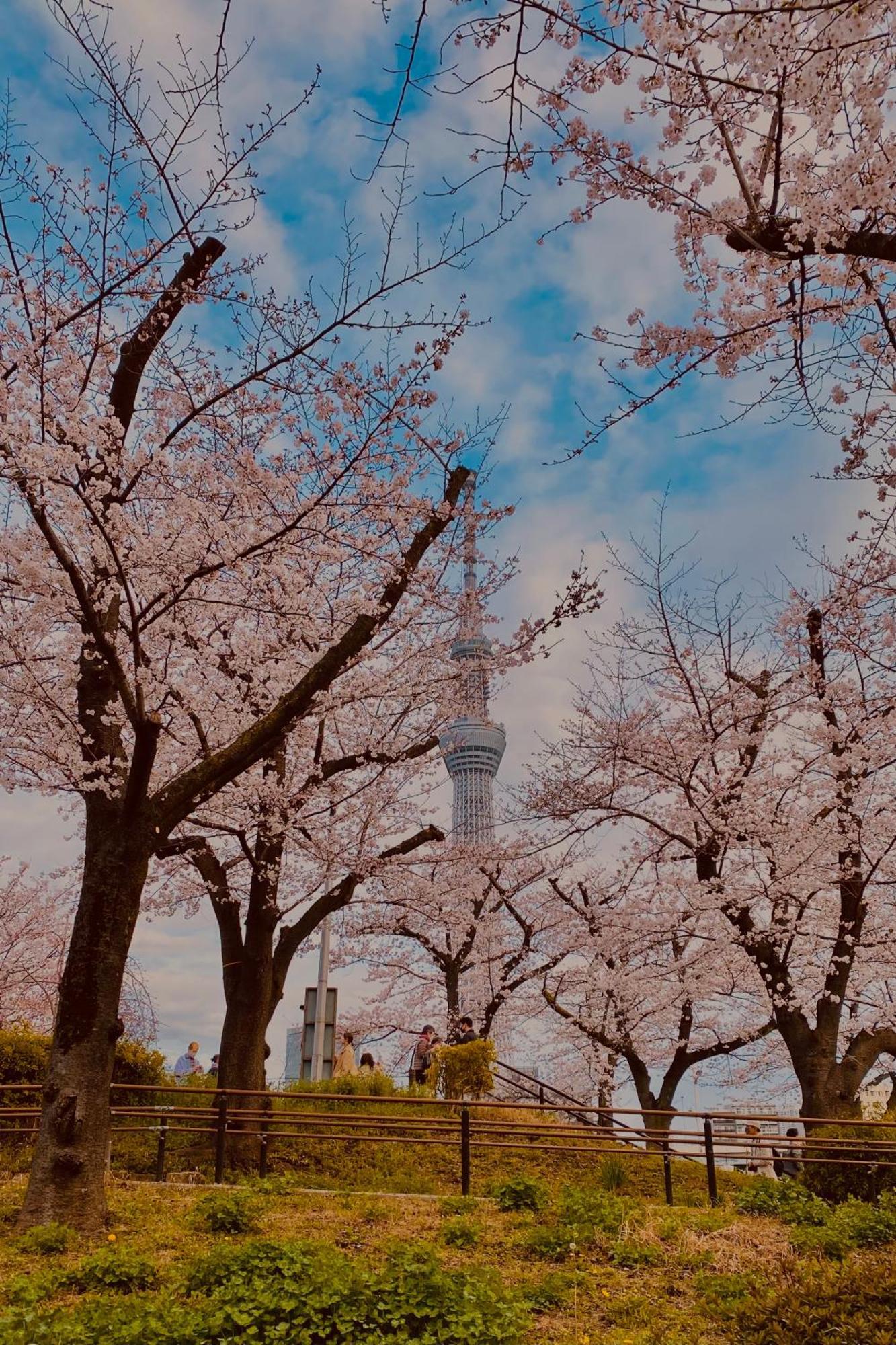 TOE LIBRARY Tokyo Asakusa Eksteriør billede